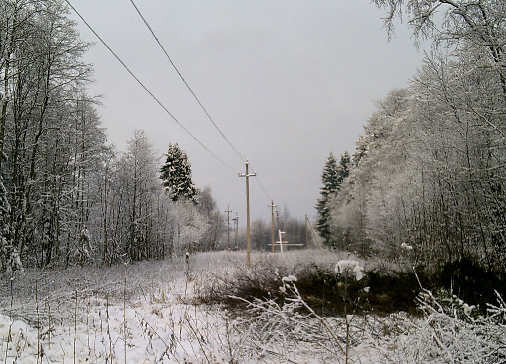 DSCF0038.JPG